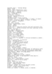 Slengas – kas tai? 6 puslapis