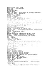 Slengas – kas tai? 8 puslapis