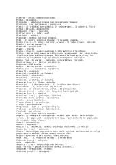 Slengas – kas tai? 9 puslapis