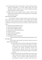 Socialinio darbo modelių taikymas negalės kontekste 3 puslapis