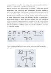 Socialinis darbas su problematiška šeima 3 puslapis