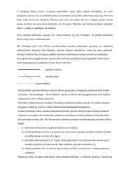 Socialinis darbas su problematiška šeima 4 puslapis