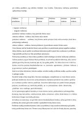 Socialinis darbas su problematiška šeima 5 puslapis