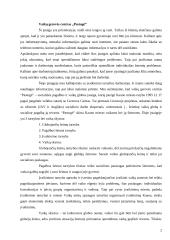 Socialinių tarnybų analizė: "Pastogė" ir  Všį "Senamiesčio vaikų dienos centras" 2 puslapis