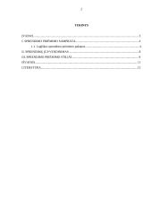 Sprendimo priėmimas, priėmimo stiliai ir įgyvendinimas  2 puslapis