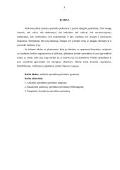 Sprendimo priėmimas, priėmimo stiliai ir įgyvendinimas  3 puslapis