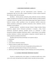 Sprendimo priėmimas, priėmimo stiliai ir įgyvendinimas  4 puslapis