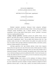 Sprendimo priėmimas, priėmimo stiliai ir įgyvendinimas  5 puslapis