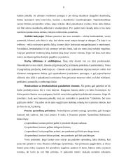 Sprendimo priėmimas, priėmimo stiliai ir įgyvendinimas  6 puslapis