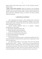 Sprendimo priėmimas, priėmimo stiliai ir įgyvendinimas  8 puslapis