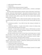 Sprendimų priėmimas ir problemų sprendimas organizacijoje 2 puslapis