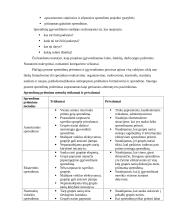 Sprendimų priėmimas ir problemų sprendimas organizacijoje 11 puslapis