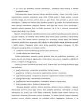 Sprendimų priėmimas ir problemų sprendimas organizacijoje 3 puslapis