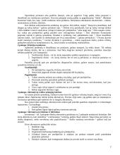 Sprendimų priėmimas organizacijos lygmenyje 2 puslapis