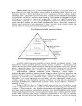 Sprendimų priėmimas organizacijos lygmenyje 5 puslapis