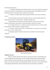 Statybos darbų sauga 12 puslapis