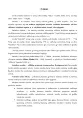 Statistinių rodiklių analizė 2 puslapis