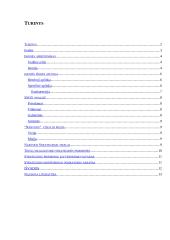 Strategijos parengimas: automobilių remontas UAB "Narvija" 2 puslapis