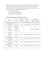 Strategijos parengimas: automobilių remontas UAB "Narvija" 11 puslapis