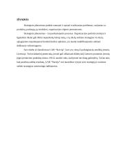 Strategijos parengimas: automobilių remontas UAB "Narvija" 13 puslapis