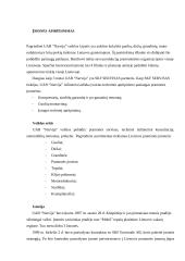 Strategijos parengimas: automobilių remontas UAB "Narvija" 4 puslapis