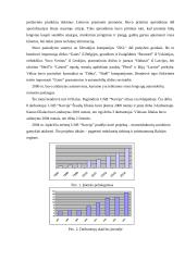 Strategijos parengimas: automobilių remontas UAB "Narvija" 5 puslapis