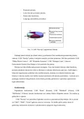 Strategijos parengimas: automobilių remontas UAB "Narvija" 7 puslapis