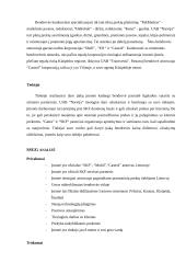 Strategijos parengimas: automobilių remontas UAB "Narvija" 8 puslapis