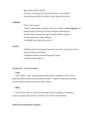 Strategijos parengimas: automobilių remontas UAB "Narvija" 9 puslapis