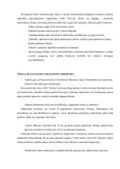 Strategijos parengimas: automobilių remontas UAB "Narvija" 10 puslapis
