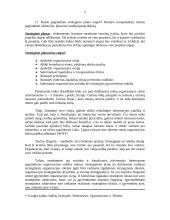 Strateginio planavimo vaidmuo organizacijoje 4 puslapis