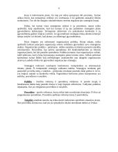 Strateginio planavimo vaidmuo organizacijoje 5 puslapis