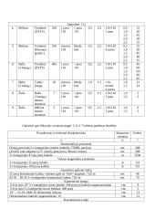 Struktūrizuotos kabelinės sistemos projektavimas 11 puslapis