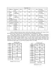 Struktūrizuotos kabelinės sistemos projektavimas 8 puslapis