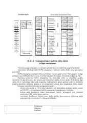 Struktūrizuotos kabelinės sistemos projektavimas 9 puslapis