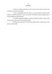 Tarnybinių patikrinimų atlikimų pagrindas ir tvarka 13 puslapis