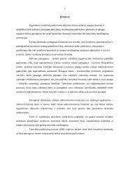 Tarnybinių patikrinimų atlikimų pagrindas ir tvarka 3 puslapis