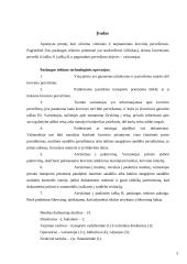 Tarptautinių bei vietinių krovinių pervežimu užsiimančios įmonės veiklos tyrimas 3 puslapis