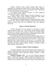 Technologija. Gamybos kaštai 3 puslapis