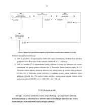 Teigiamo valiutų kurso pasikeitimo įtaka pirkimams 14 puslapis