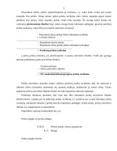 Teigiamo valiutų kurso pasikeitimo įtaka pirkimams 4 puslapis