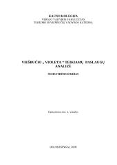 Teikiamų  paslaugų analizė: viešbutis "Violeta"