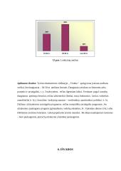 Teikiamų  paslaugų analizė: viešbutis "Violeta" 18 puslapis