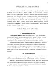 Teikiamų  paslaugų analizė: viešbutis "Violeta" 7 puslapis