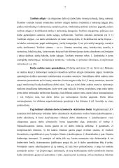 Teisė ir atsakomybė 7 puslapis