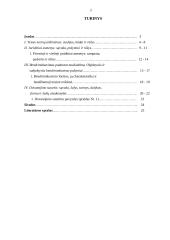 Teisės savarankiškas namų darbas 2 puslapis