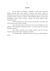 Teisės savarankiškas namų darbas 3 puslapis