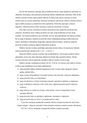 Konstitucinių teisinių santykių sąvoka 4 puslapis