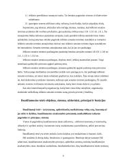 Konstitucinių teisinių santykių sąvoka 5 puslapis