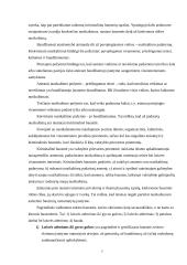 Konstitucinių teisinių santykių sąvoka 6 puslapis